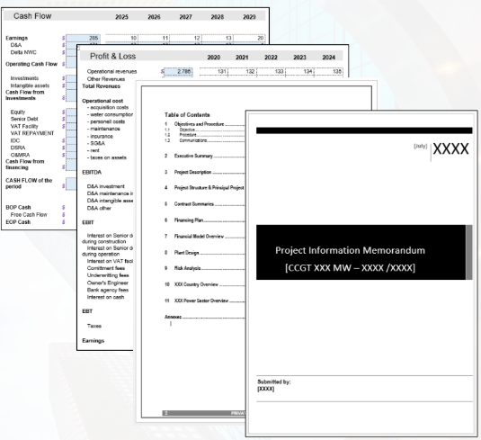 Project Financing Advisory Sample